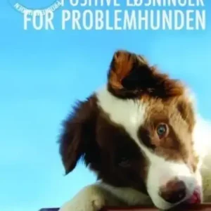 100% positiv problemløsning