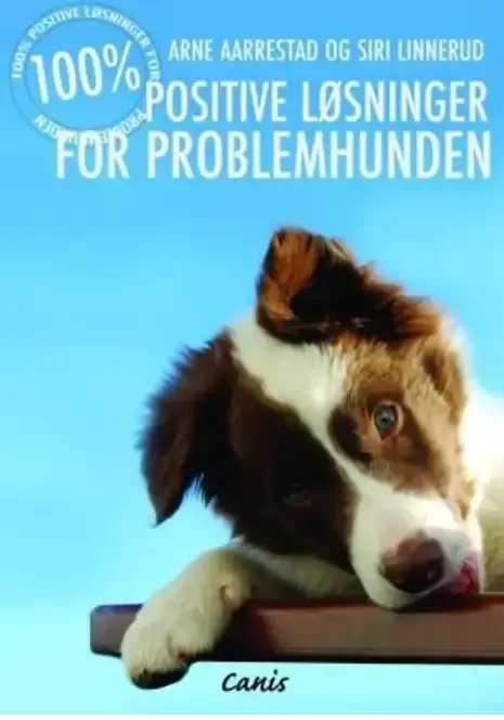 100% positiv problemløsning