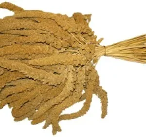 1kg Franske hirsekolber