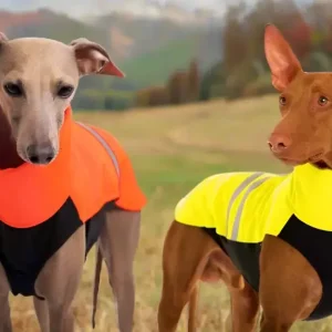 2-pack Hachiko vest NEON