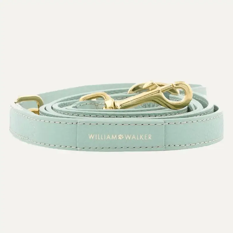 3-way Leash Mint