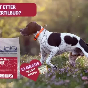 3x Active (x12 bokser Provit Gratis)