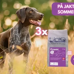 3x Power (1L Njord lakseolje Gratis)