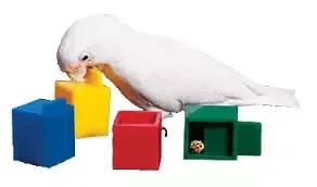 4 COLOR CUBES (YELLOW-RED-BLUE-GREEN) (1.75″)