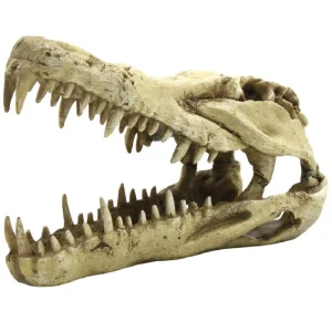 4FISH Kranium 22×10.3×13 cm