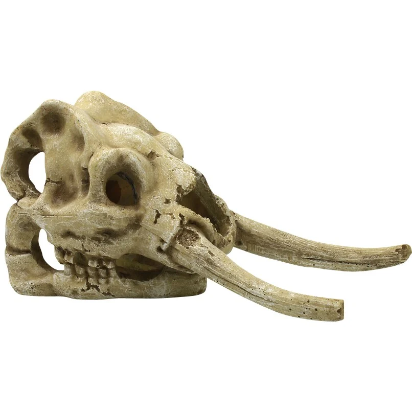 4FISH Kranium 23.5x12x11.8 cm - Image 2