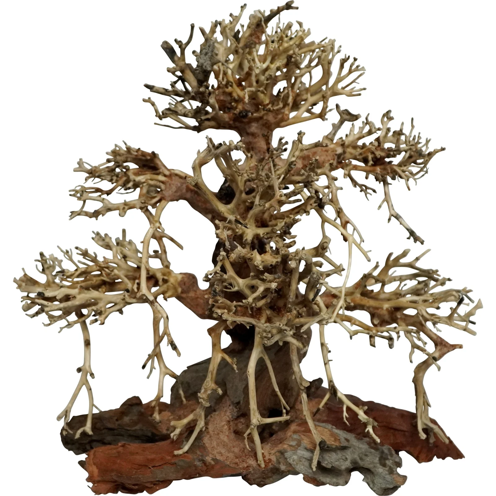4FISH Trerøtter, Gammel Bonsai – ekte drivved - Image 2