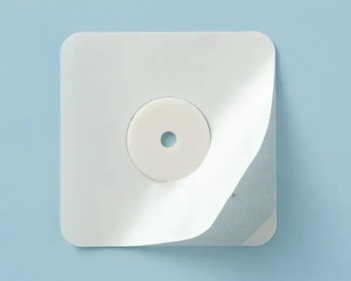 6 Aktiv Plaster for hunder (Grossist)