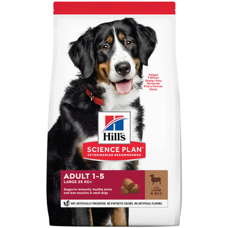 Adult Large Breed Lamb & Rice - Dry Dog Food