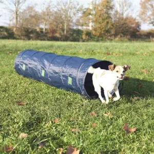 Agility Tunnel Blå ø40cm/2m