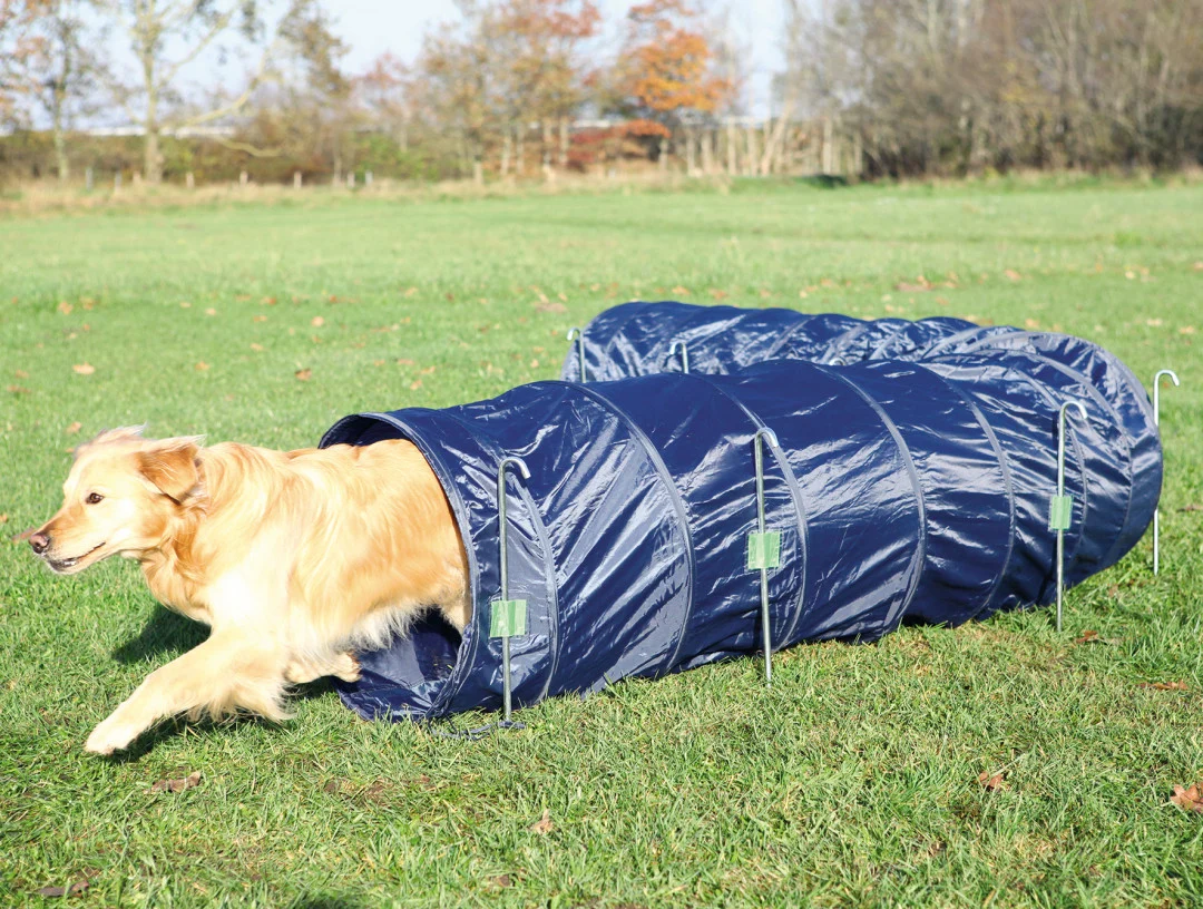 Agility Tunnel Nylon Ø60/5M - Image 2