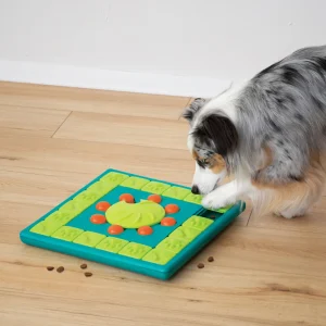 Aktiveringsleke Multipuzzle Gr酶nn