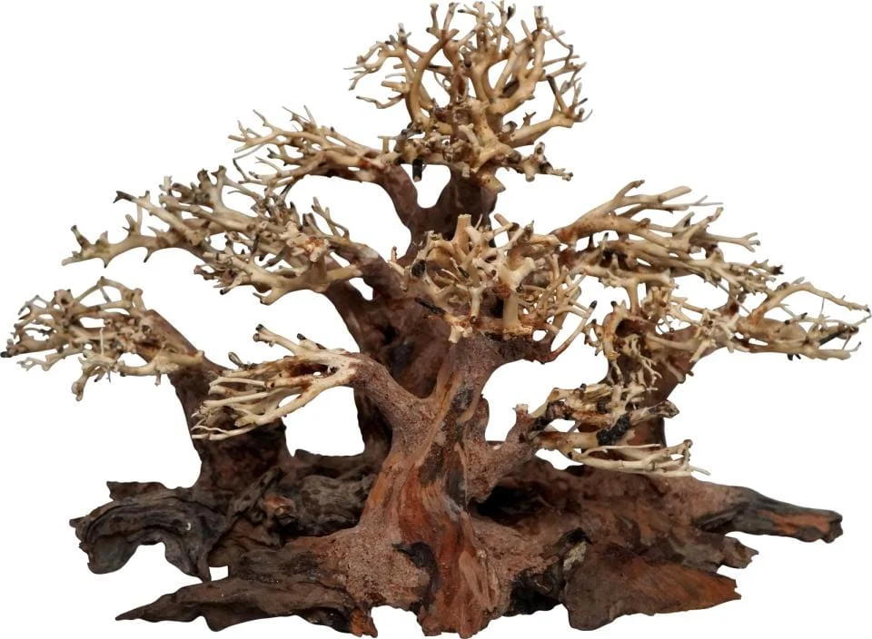 Akvariedekorasjon Trerot Mini Forest Bonsai 50x25x30cm