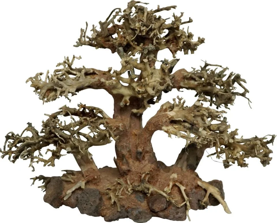 Akvariedekorasjon Trerot Tree Island Bonsai 40x15x30cm