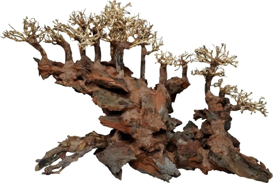 Akvariedekorasjon Trerot Water Bridge Bonsai 60x30x40cm