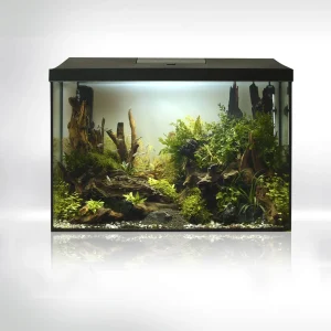 Akvarium Sett Leddy XL 72L