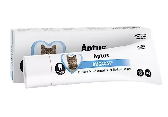 Aptus Bucacat Pasta