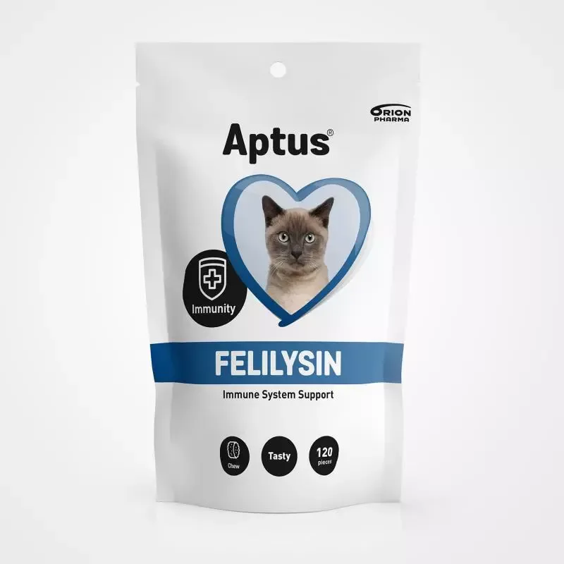 APTUS FELILYSIN CHEWS, 120 biter (UTGÅTT)