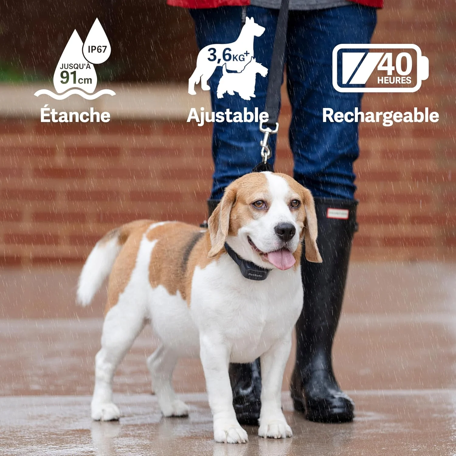 Audible Bark Collar - Image 2