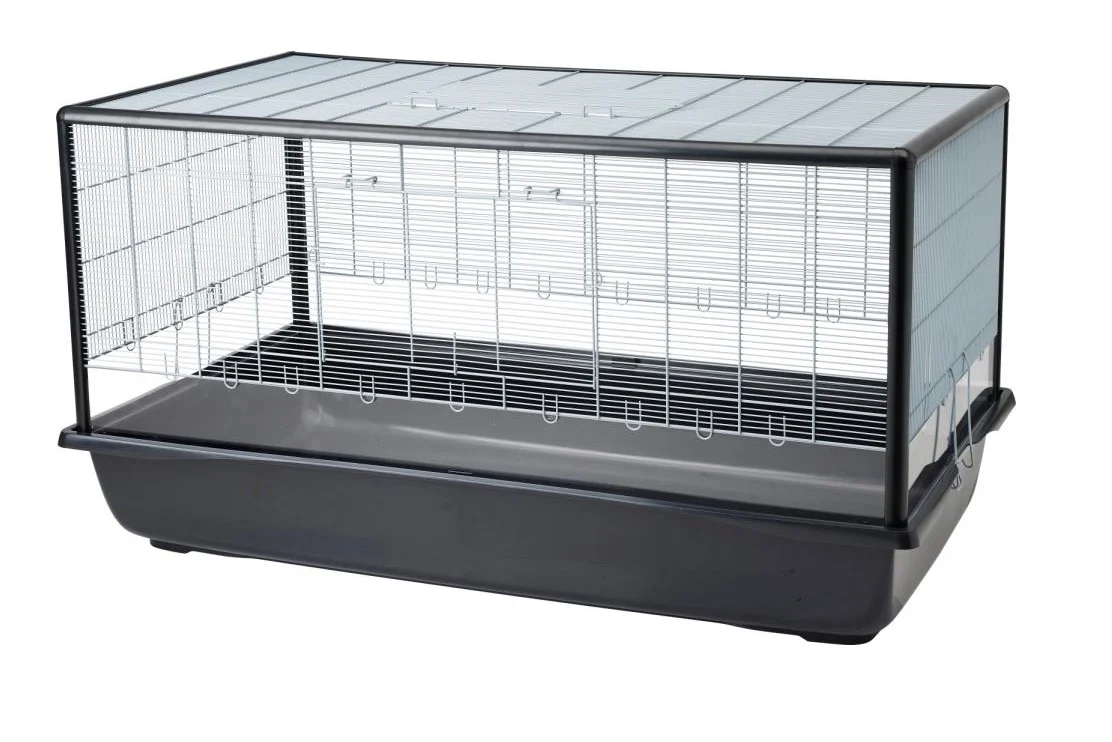 Aura 120 Plexi Knock Down – Silver-Black