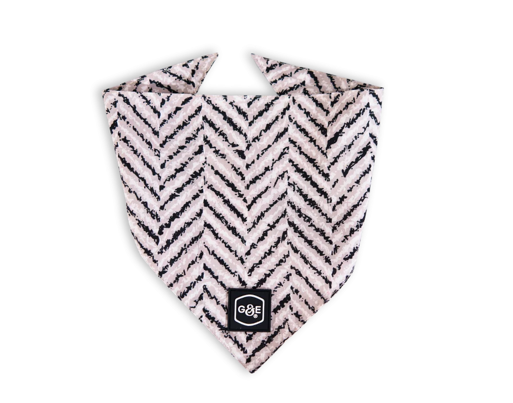 Bandana Modish