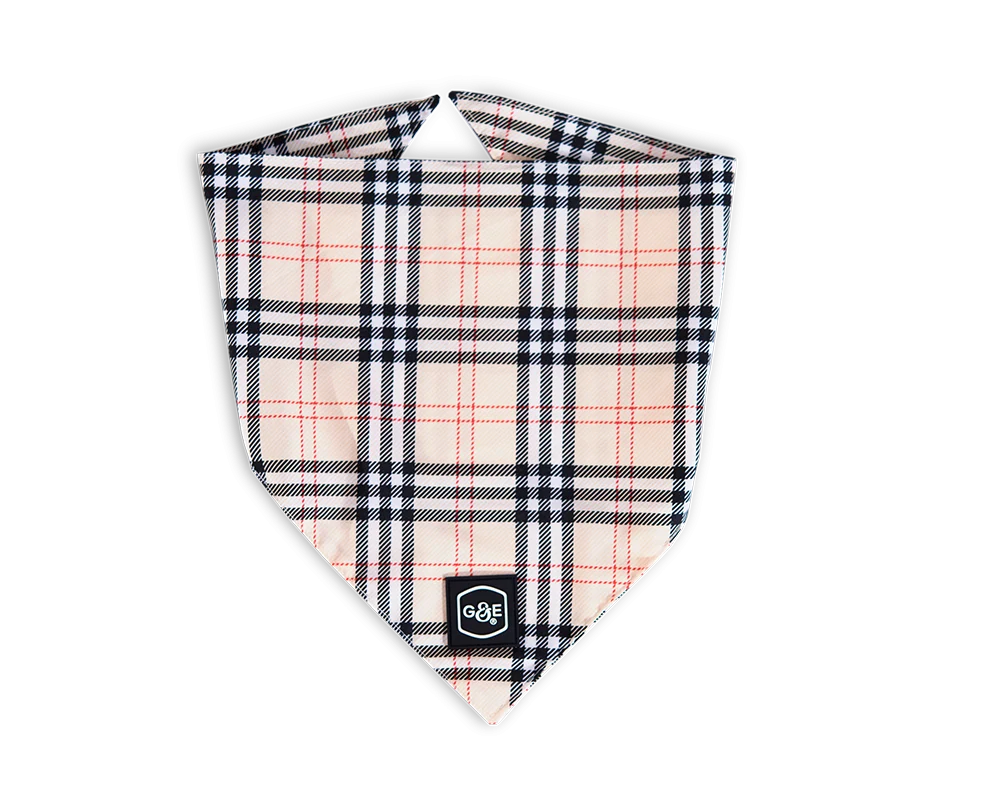Bandana Stilish