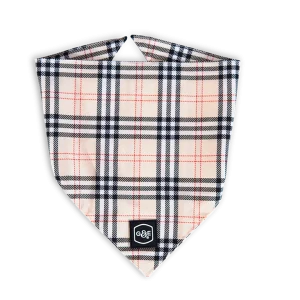 Bandana Stilish