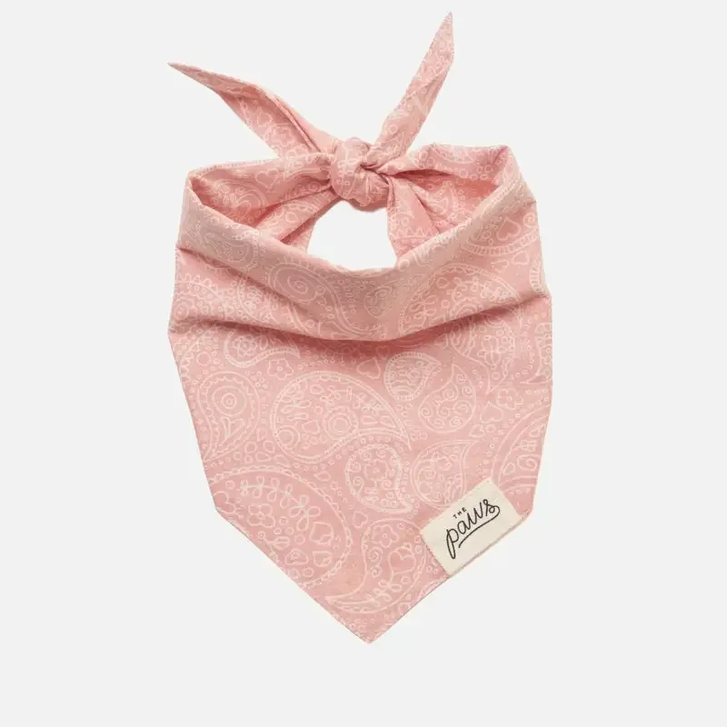 Bandana til hund // Folklore // the paws