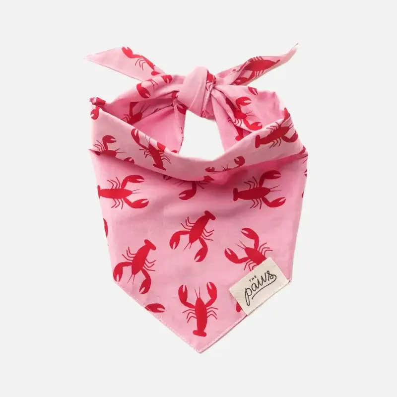 Bandana til hund // Frye Island // the paws