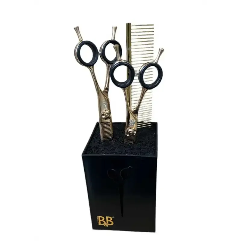 B&B Sakseholder