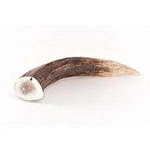Bellfor Hjortegevir
