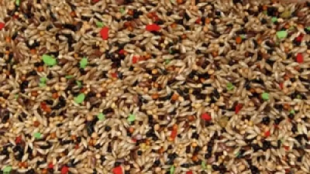 Bello kanariblanding 5kg