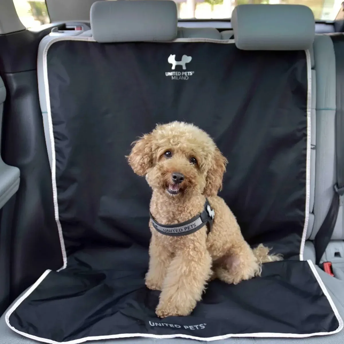 Bilsetebeskytter for hund til bilen