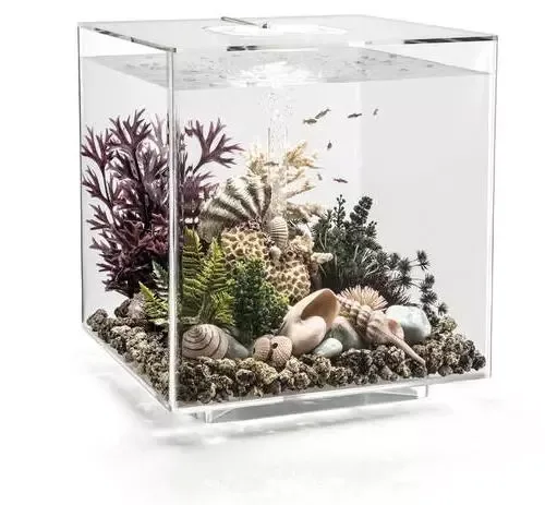BiOrb CUBE 60 MCR Transparent
