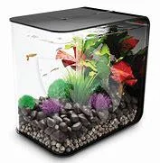 biOrb FLOW 30 LED black F3000