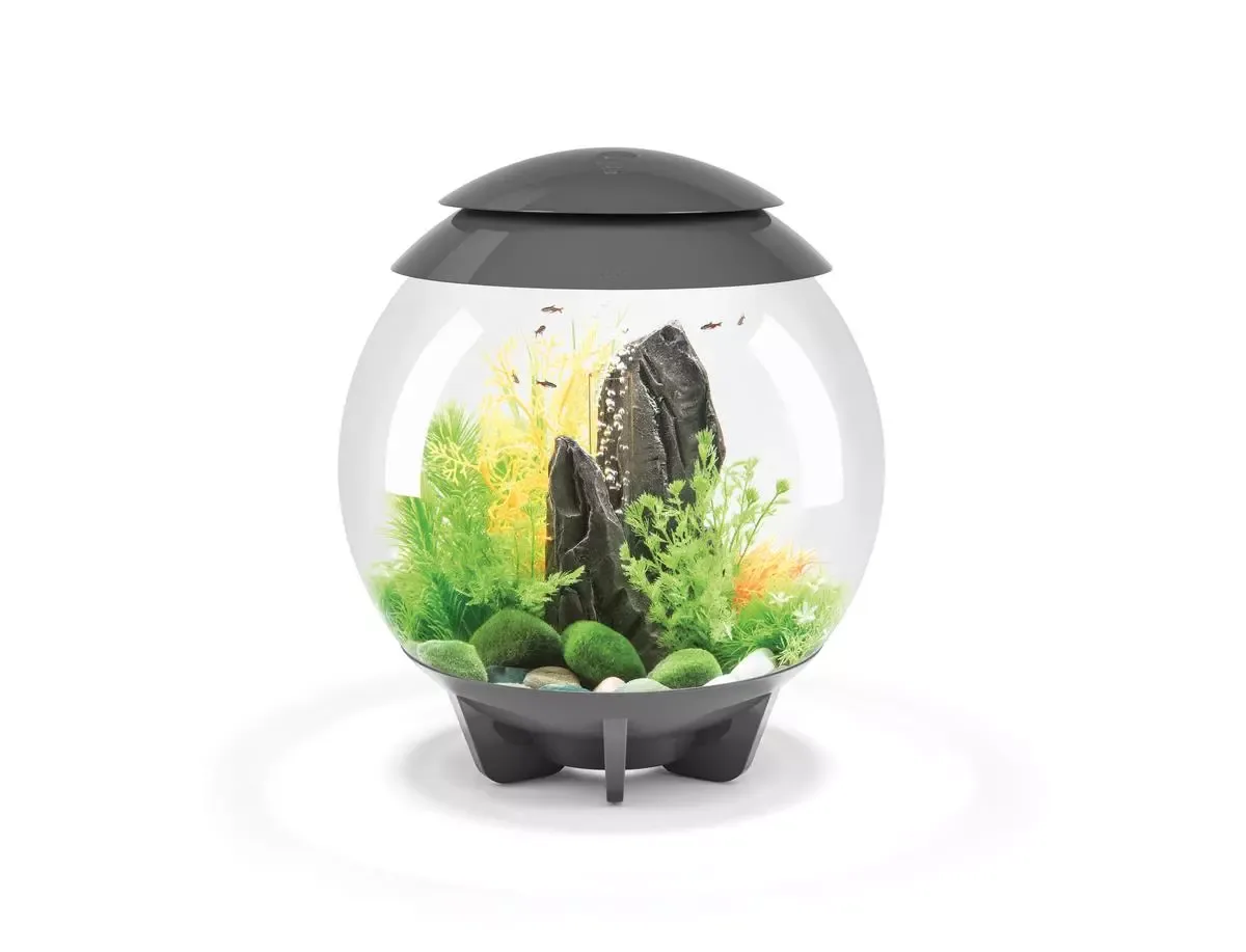 biOrb HALO 30 LED grey G4600