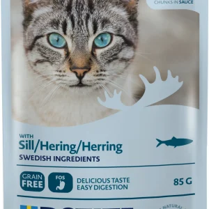 Biter i saus med sild