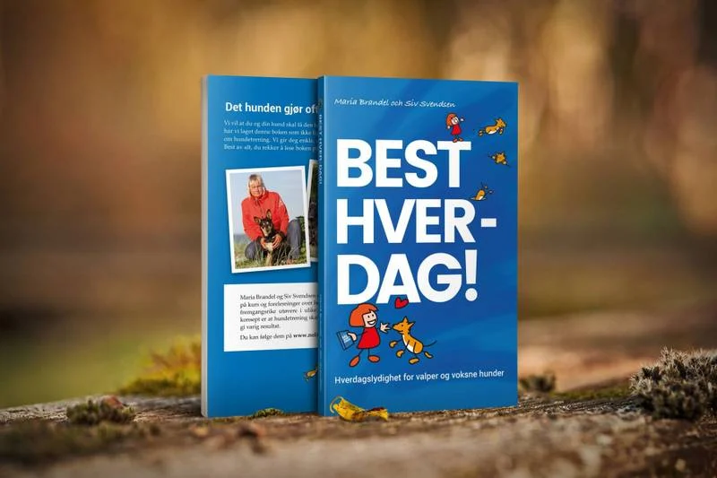 Bok Best Hver-Dag! – Hverdagslydighet for valper og voksne hunder