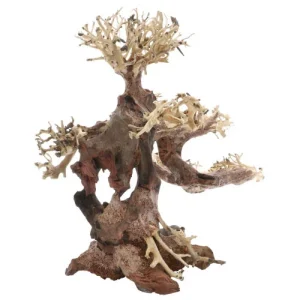 Bonsai M