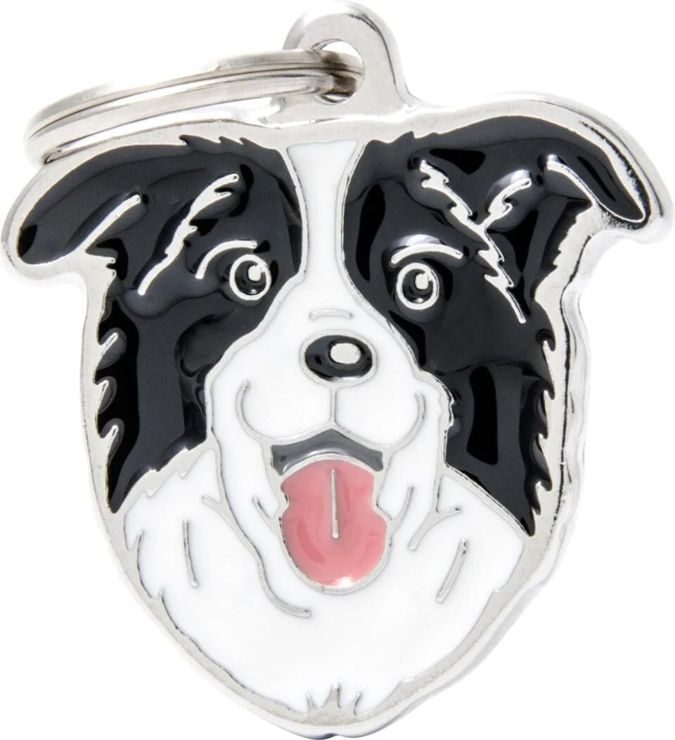 Border Collie