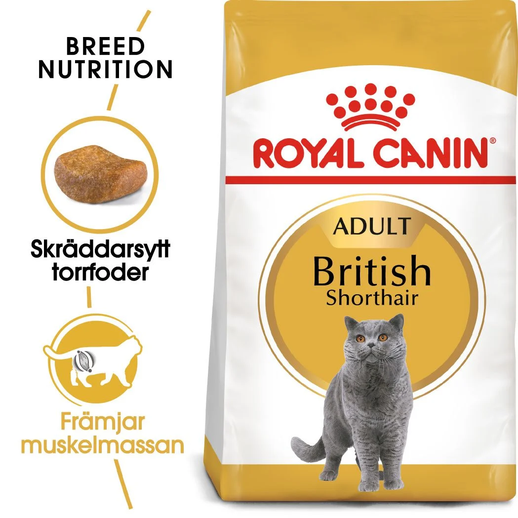 British Shorthair Adult T酶rrf么r til katt