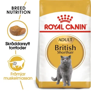British Shorthair Adult T酶rrf么r til katt