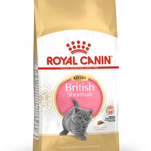 British Shorthair Kitten T酶rrf么r for katt 2kg
