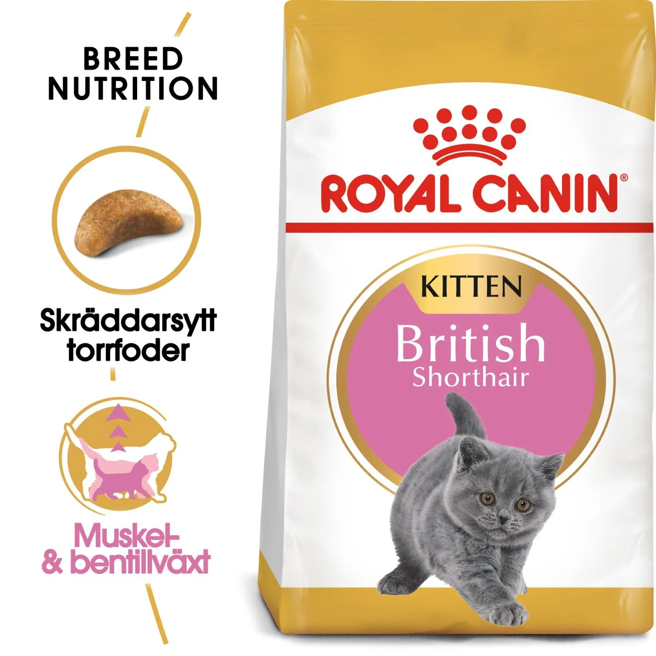 British Shorthair Kitten T酶rrf么r til kattunge