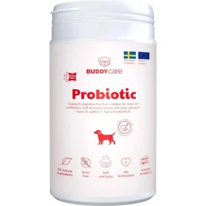 Buddycare Probiotic 150g