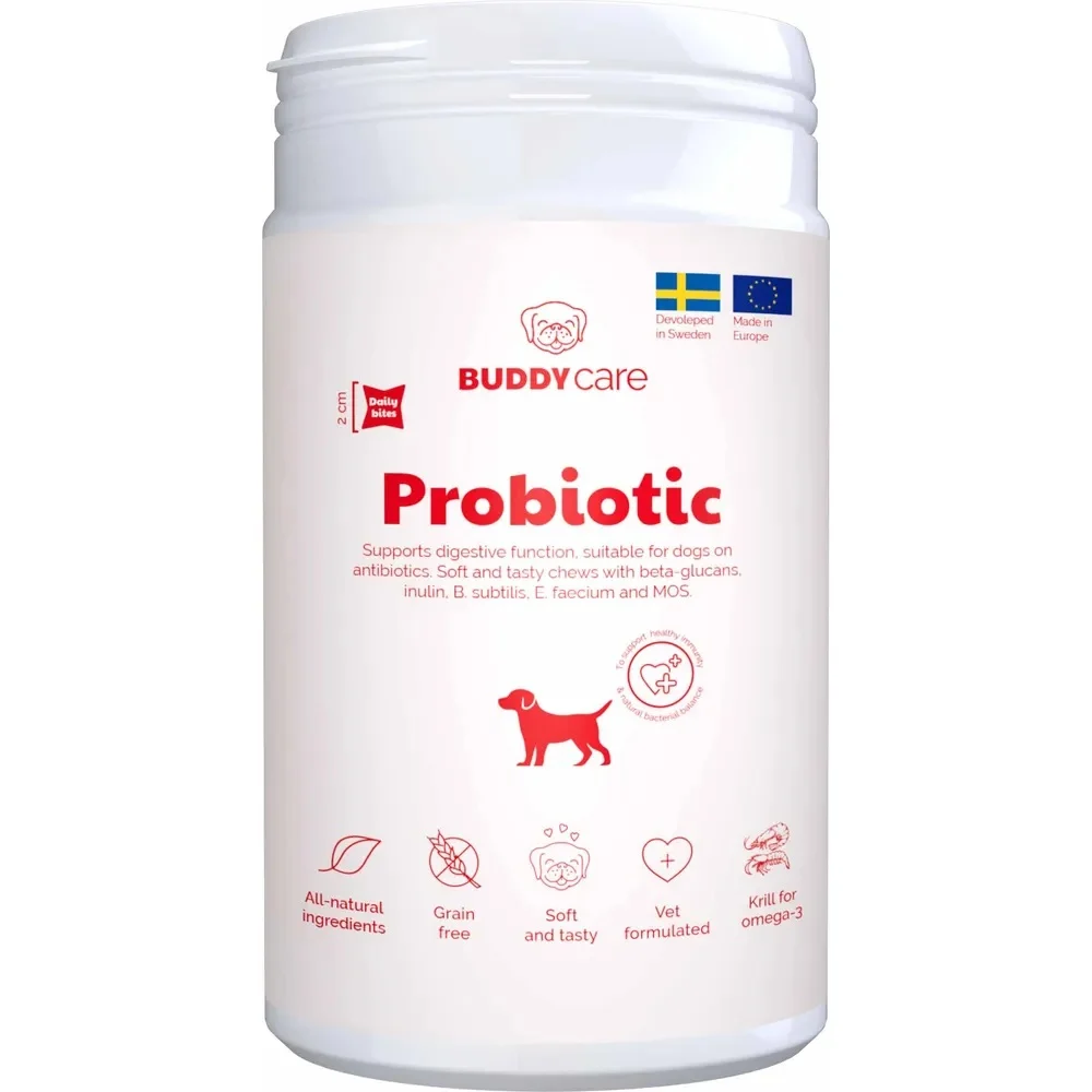 Buddycare Probiotic 150g