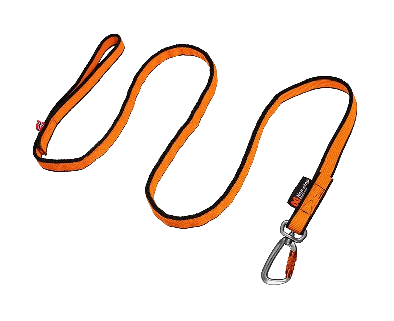 Bungee leash