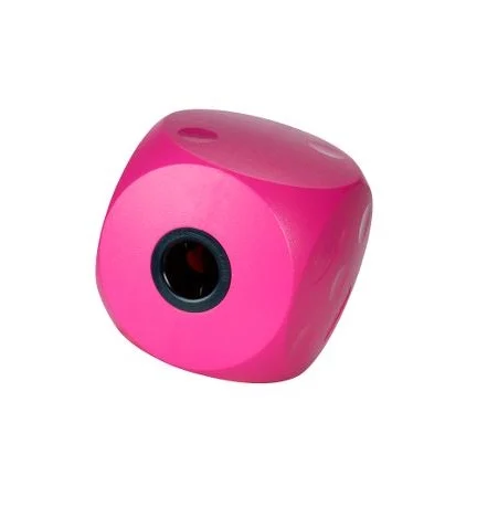 Buster Food Cube, Cherry