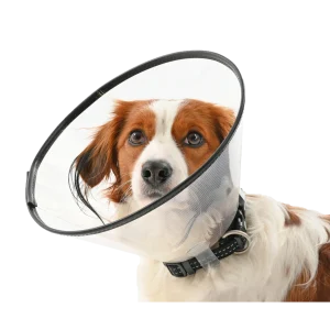 Buster Komfortkrage 10 cm