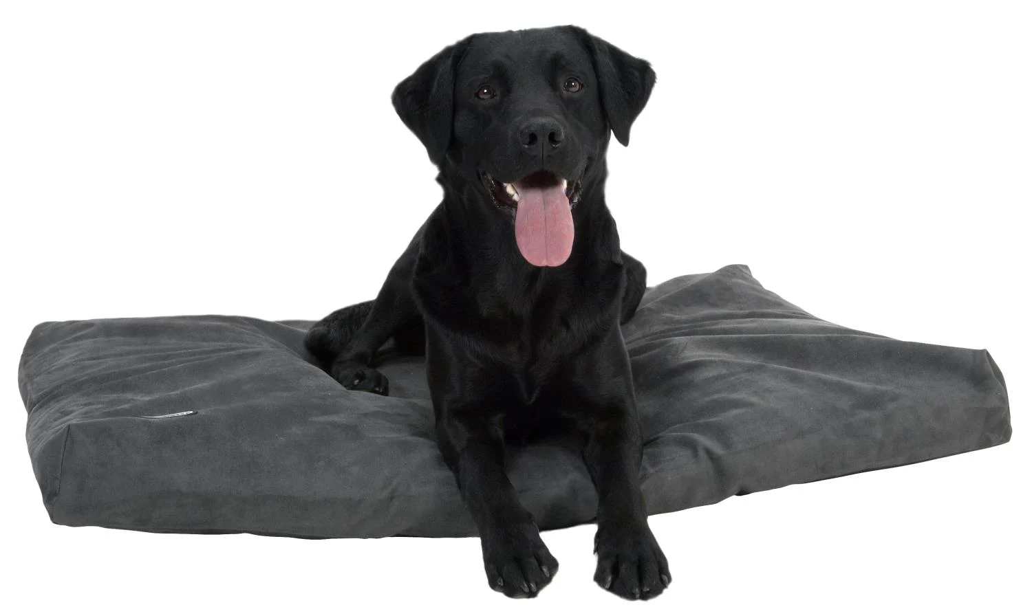 BUSTER Memory Foam Hundeseng 100×70 cm - Image 2